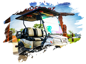 All Golf Carts