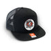 AudioFormz Black Snapback Hats